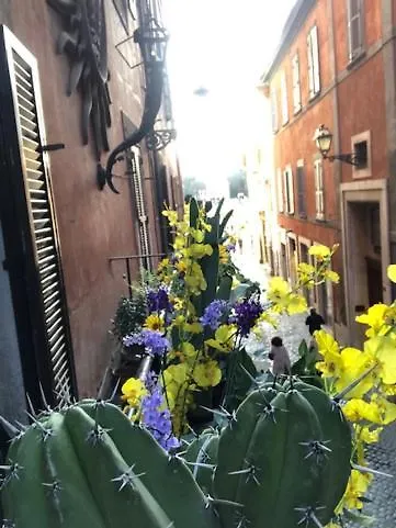 Charme Luxury Flat Campo Dei Fiori רומא